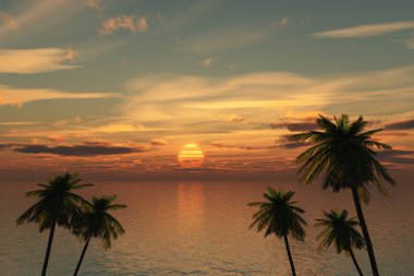 Palm tree sunset clipart