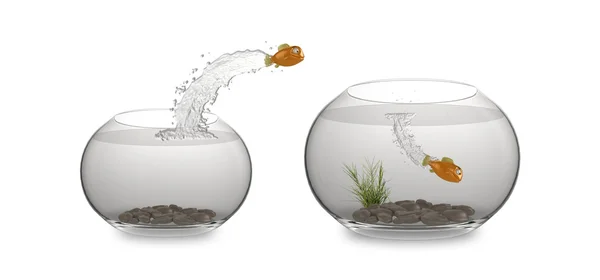 Cartoon leaping fish — Stock Photo, Image