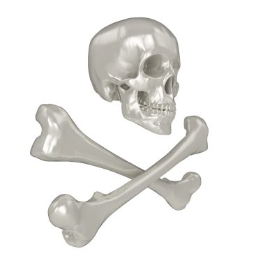 3D kafatası ve kemiklerin