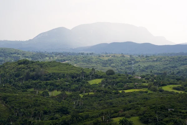 Valle tropical con altas montañas —  Fotos de Stock