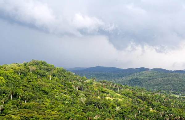 Холмы, покрытые пышной зеленой растительностью — стоковое фото