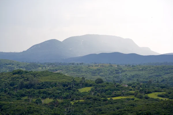 Tropisk dal med höga berg — Stockfoto