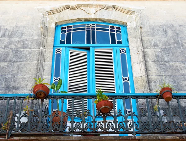 Oude blauwe balkon met plant potten — Stockfoto