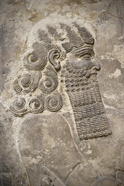 Kopf eines alten assyrischen Kriegers — Stockfoto