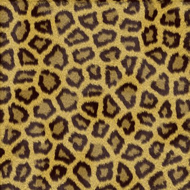 Leopard fur texture clipart