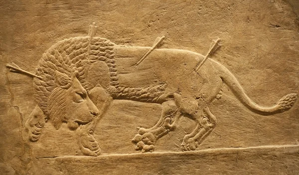 Vecchio rilievo assiro di un leone — Foto Stock