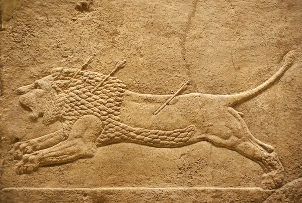Old assyrian relief of a lion — Stock Photo, Image