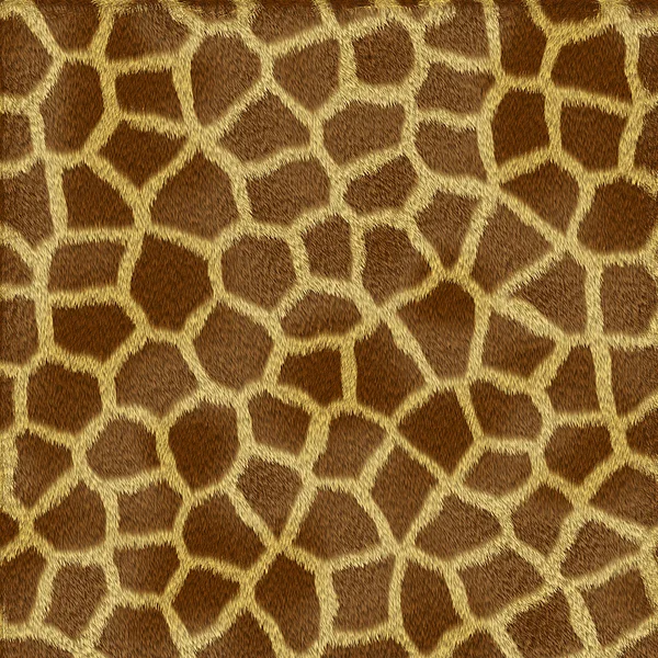 Textura de piel de jirafa —  Fotos de Stock