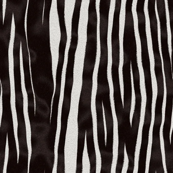 Zebra fur texture — Stock Photo, Image