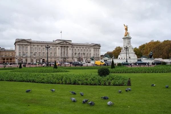 Buckingham palace and gardens — Stock Photo, Image