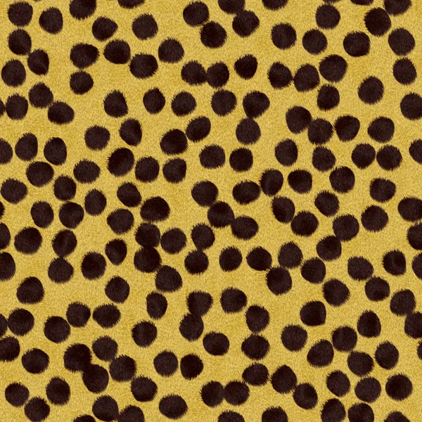 Textura de piel de guepardo —  Fotos de Stock