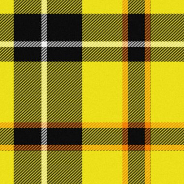 gerçekçi sorunsuz tartan