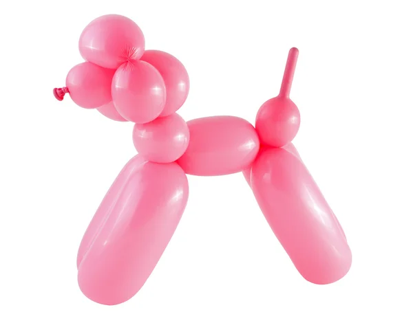 Cão rosa feito com um balão — Fotografia de Stock