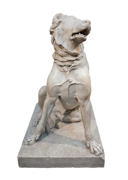 Statue en marbre d'un chien molossien — Photo