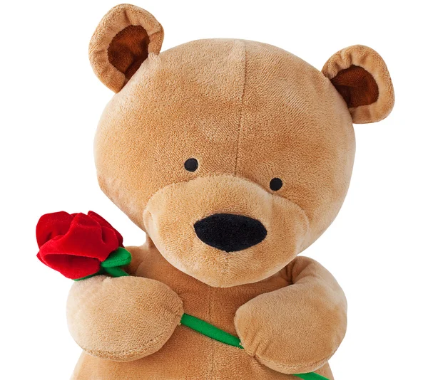 Teddy bear holding a rose — Stock Photo, Image