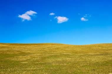 çimenli hills ile peyzaj