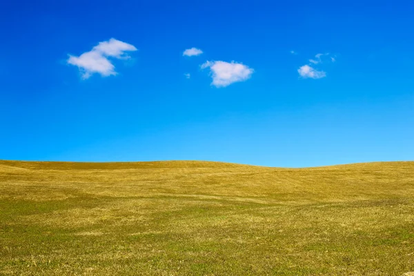Landscape with grassy hills — Stock Photo, Image