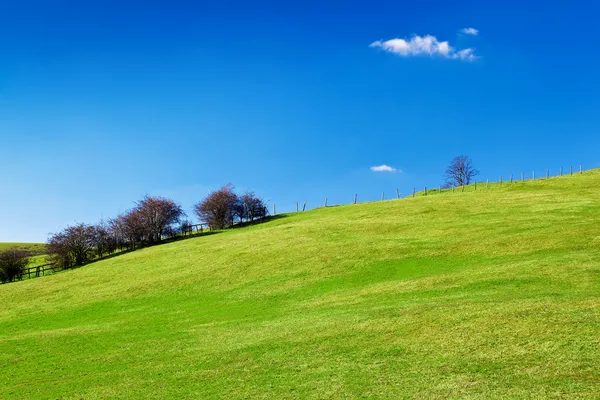 Green hill with a beautiful clear sky — Stock Photo, Image