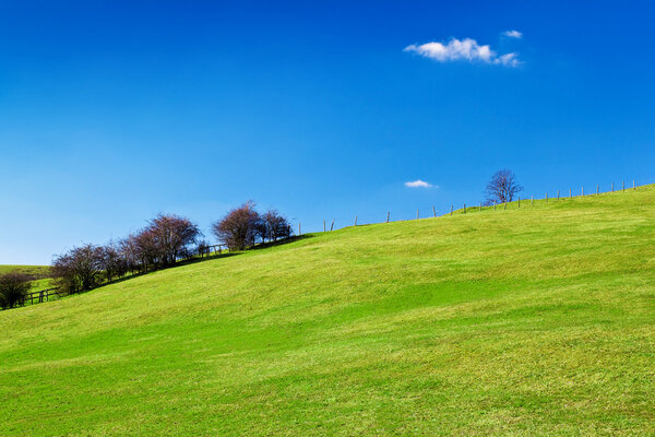Grassy green hill with a beautiful clear blue sky