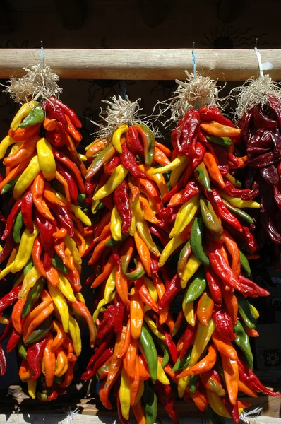 stock image Multi colored chili ristras