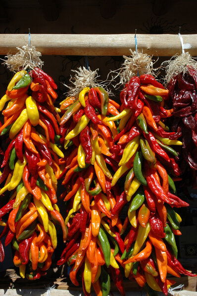 Multi colored chili ristras