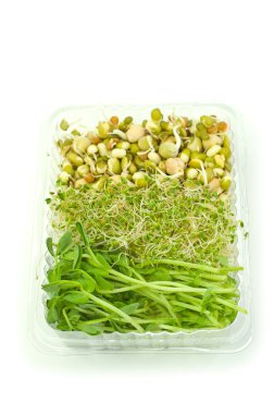 Organic sprouts clipart