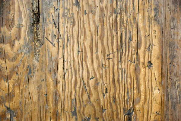 Holz in Not — Stockfoto