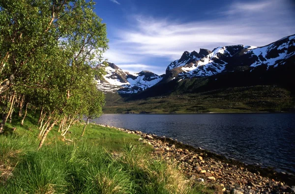 Montaña Noruega — Foto de Stock