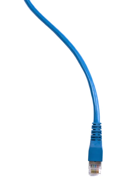 Синій мережний кабель — стокове фото