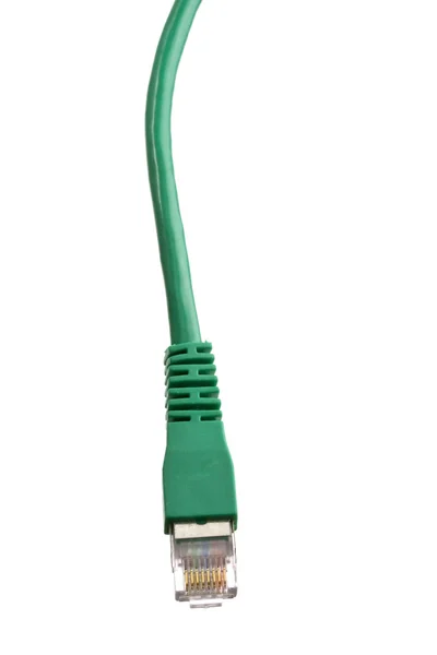 Зелений мережний кабель — стокове фото