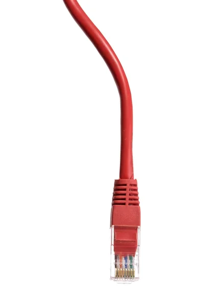 红色网络电缆 — 图库照片
