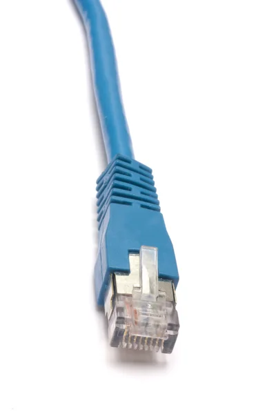 Mavi ağ kablosu — Stok fotoğraf