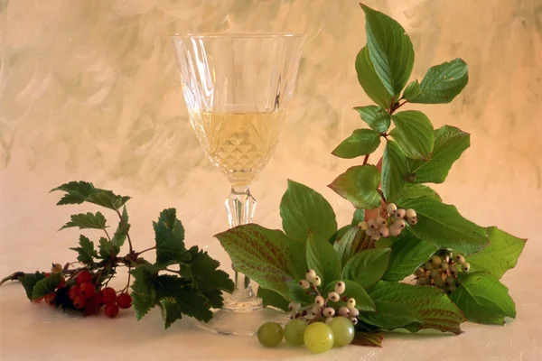 Λευκό κρασί με φρούτα — Φωτογραφία Αρχείου