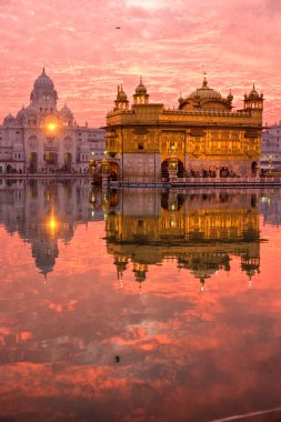 Golden Temple at sunset, Amritsar, Punjab, Indi clipart