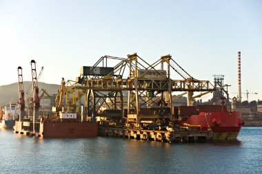 Crane in Piombino, Italy. clipart