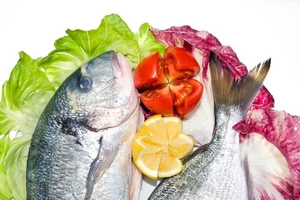 Färsk fisk med sallad, tomat, citron. — Stockfoto