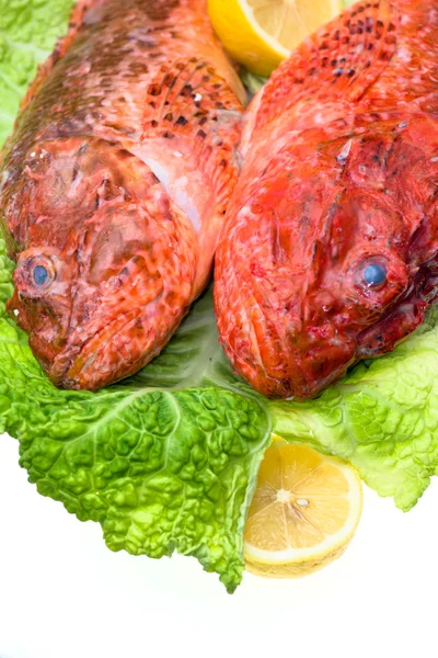 Fresh fish with with cabbage and lemon. — Stock Photo, Image