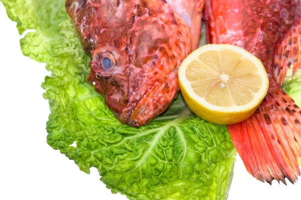 Fresh fish with with cabbage and lemon. — Stock Photo, Image