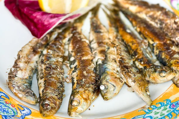 Färska sardins grillad — Stockfoto