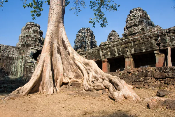 Preah-Khan-Tempel, Kambodscha. — Stockfoto