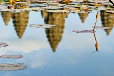 Dragonfly and Angkor Wat at sunset, Cambodia. clipart