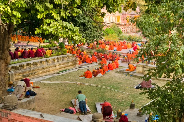 Μοναχοί προσεύχονταν κάτω από το δέντρο bodhy, bodhgaya, σε — Φωτογραφία Αρχείου