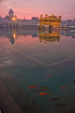 Golden Temple, Amritsar, India. Sunset. clipart