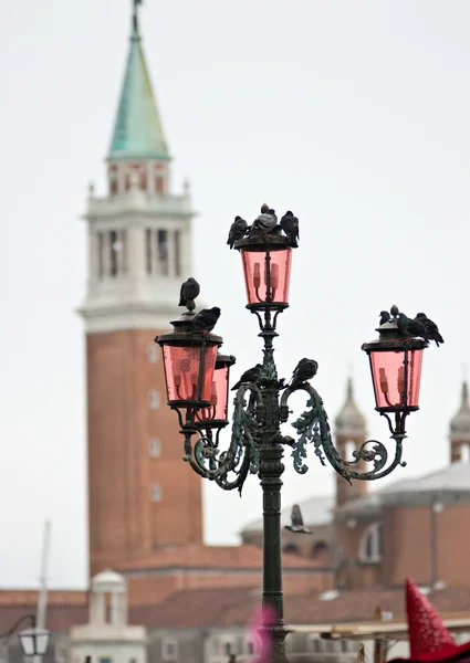 Aves em lâmpada de rua — Fotografia de Stock