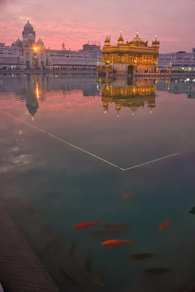 Gouden Tempel, amritsar, india. zonsondergang. — Stockfoto