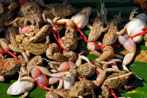 Žába připravené k jídlu. — Stock fotografie
