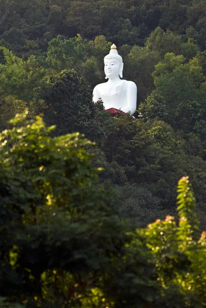 Budas en la selva . — Foto de Stock