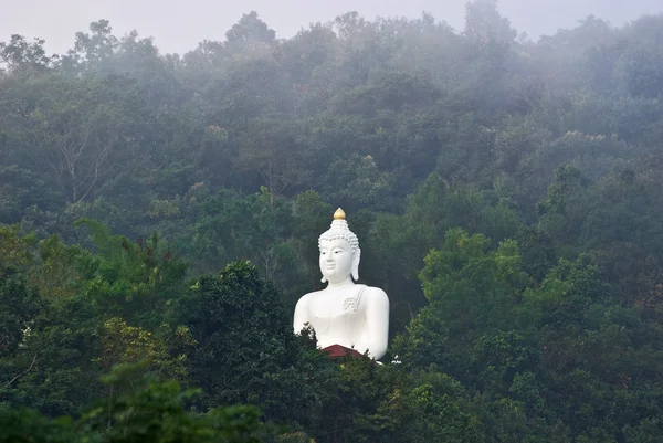 Estátua de Buda grande na selva, perto de Chiang Rai, norte da Tailândia . — Fotografia de Stock