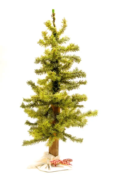 Pine Tree Isolated on White — Stock Photo, Image