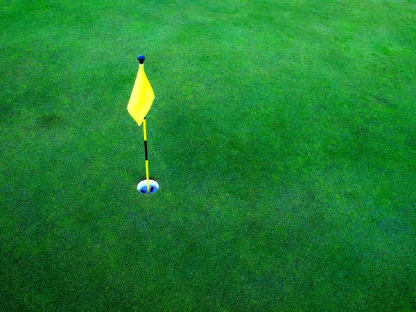 绿草上的高尔夫球孔 — 图库照片